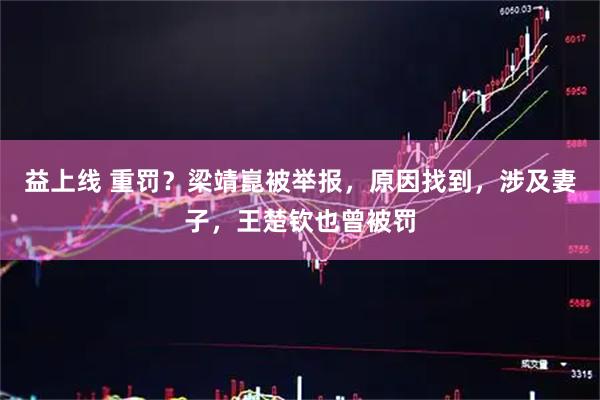 益上线 重罚？梁靖崑被举报，原因找到，涉及妻子，王楚钦也曾被罚