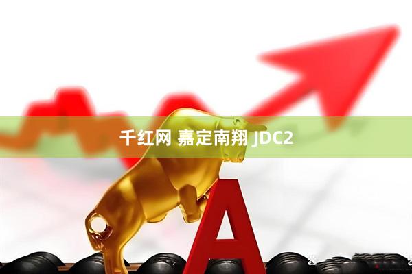 千红网 嘉定南翔 JDC2