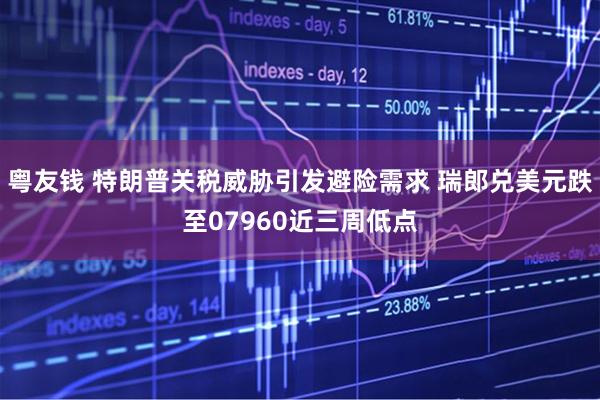 粤友钱 特朗普关税威胁引发避险需求 瑞郎兑美元跌至07960近三周低点