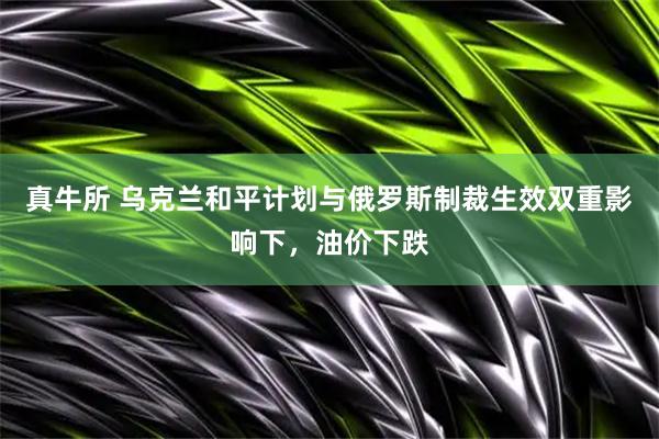 真牛所 乌克兰和平计划与俄罗斯制裁生效双重影响下，油价下跌