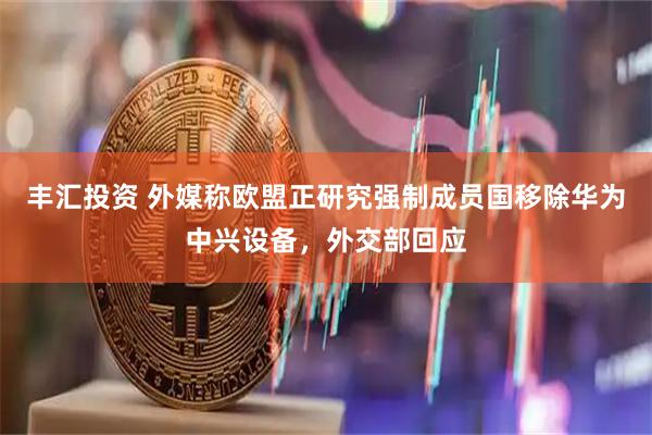 丰汇投资 外媒称欧盟正研究强制成员国移除华为中兴设备，外交部回应
