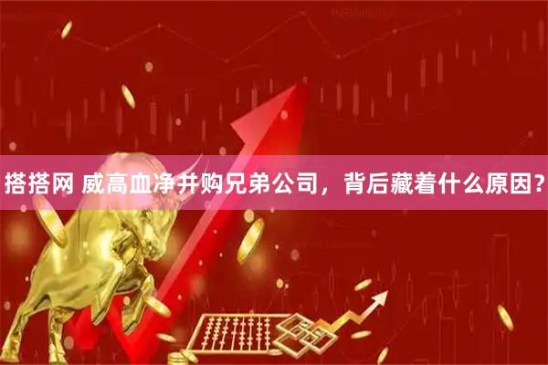 搭搭网 威高血净并购兄弟公司，背后藏着什么原因？